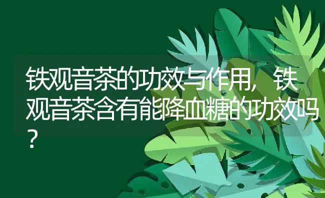 铁观音茶的功效与作用,铁观音茶含有能降血糖的功效吗？ | 养殖常见问题