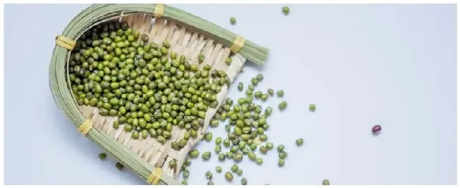 种植绿豆的注意事项 | 农业答疑