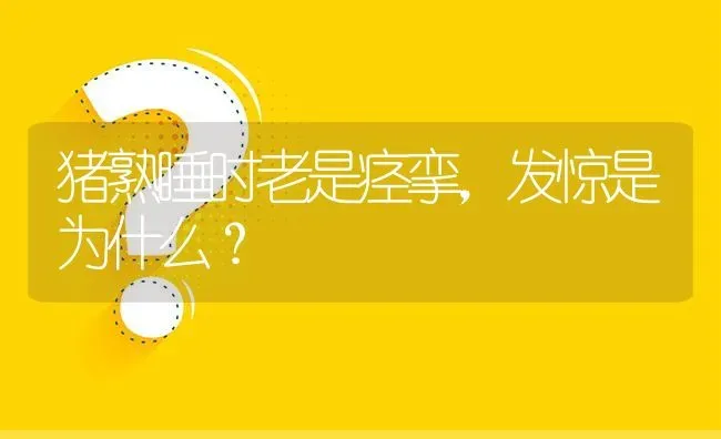 猪熟睡时老是痉挛,发惊是为什么? | 养殖问题解答