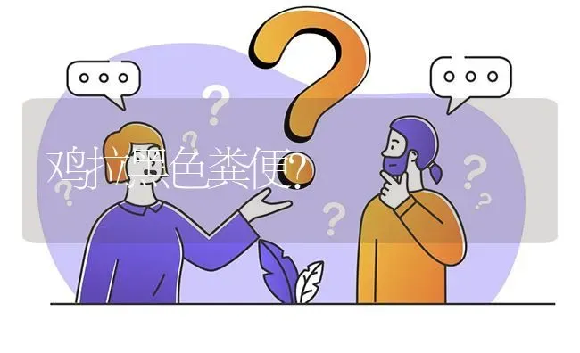 鸡拉黑色粪便? | 养殖问题解答