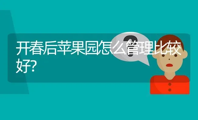 开春后苹果园怎么管理比较好? | 养殖问题解答