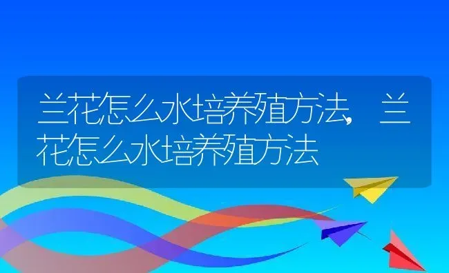 兰花怎么水培养殖方法,兰花怎么水培养殖方法 | 养殖常见问题