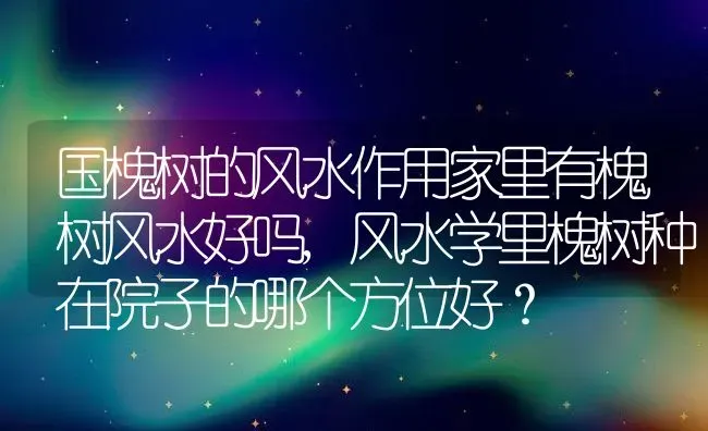 国槐树的风水作用家里有槐树风水好吗,风水学里槐树种在院子的哪个方位好？ | 养殖常见问题