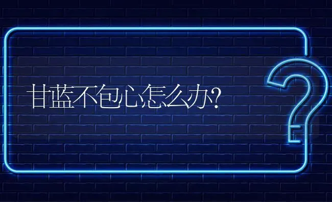 甘蓝不包心怎么办? | 养殖问题解答