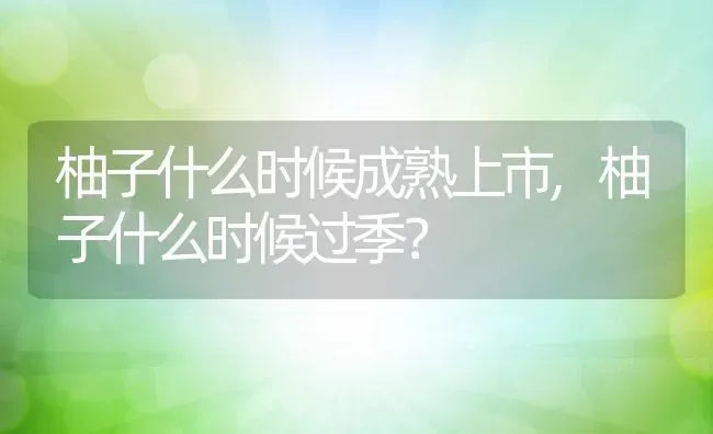 柚子什么时候成熟上市,柚子什么时候过季？ | 养殖常见问题