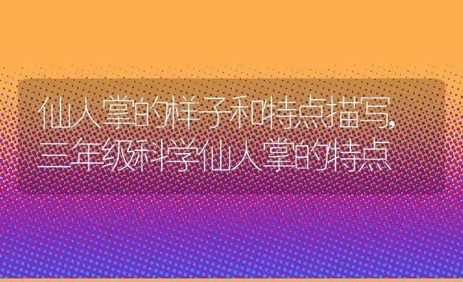 仙人掌的样子和特点描写,三年级科学仙人掌的特点 | 养殖常见问题