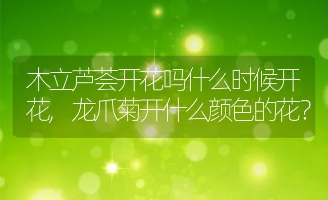 木立芦荟开花吗什么时候开花,龙爪菊开什么颜色的花？ | 养殖常见问题