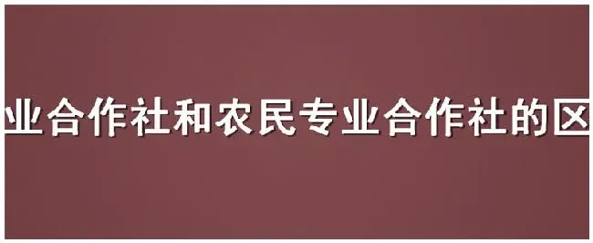 专业合作社和农民专业合作社的区别 | 科普知识