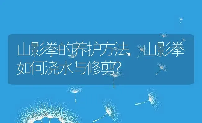 山影拳的养护方法,山影拳如何浇水与修剪？ | 养殖常见问题