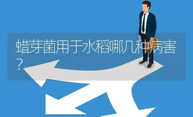 蜡芽菌用于水稻哪几种病害? | 养殖问题解答