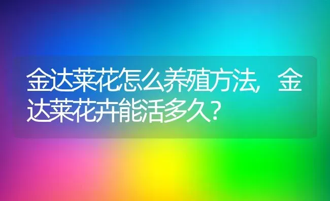 金达莱花怎么养殖方法,金达莱花卉能活多久？ | 养殖常见问题
