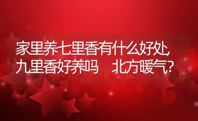 家里养七里香有什么好处,九里香好养吗 北方暖气？ | 养殖常见问题