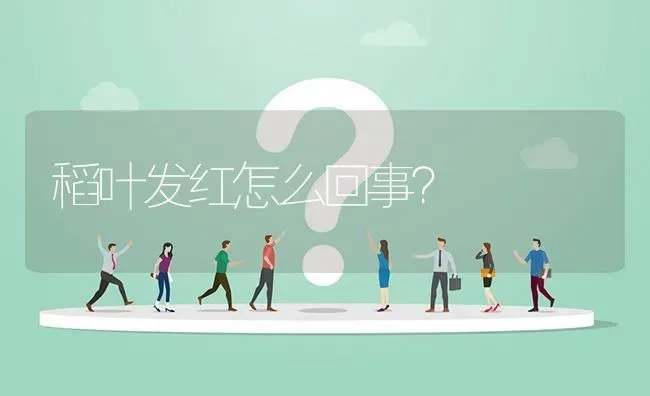 稻叶发红怎么回事? | 养殖问题解答