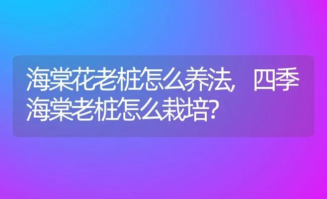 空心菜种子怎么种植种植时间与方法全过程,种植空心菜如何处理种子和种植种子？ | 养殖常见问题