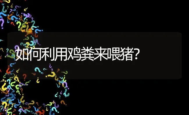 如何利用鸡粪来喂猪? | 养殖问题解答