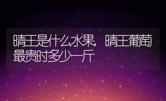 晴王是什么水果,晴王葡萄最贵时多少一斤 | 养殖常见问题