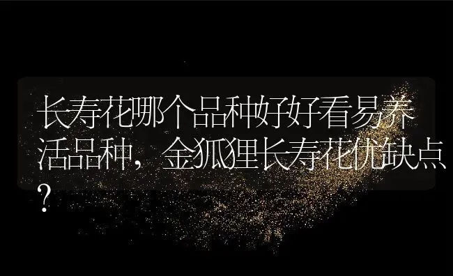 长寿花哪个品种好好看易养活品种,金狐狸长寿花优缺点？ | 养殖常见问题