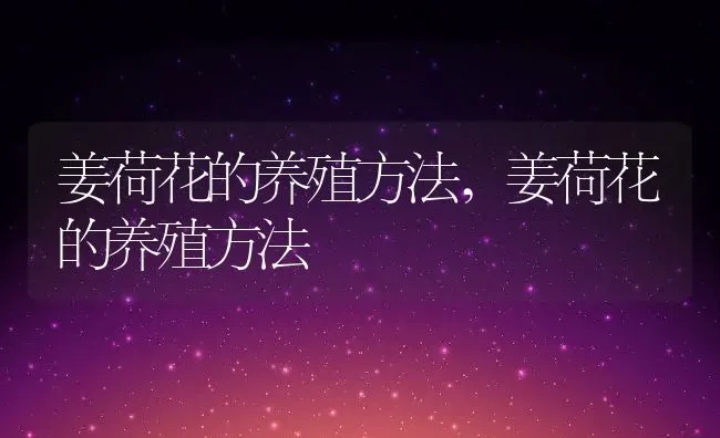 姜荷花的养殖方法,姜荷花的养殖方法 | 养殖常见问题