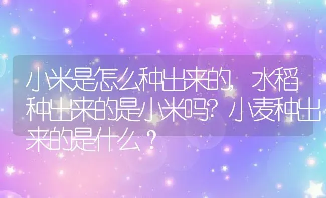 小米是怎么种出来的,水稻种出来的是小米吗?小麦种出来的是什么？ | 养殖常见问题