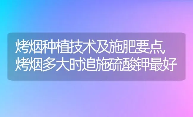 烤烟种植技术及施肥要点,烤烟多大时追施硫酸钾最好 | 养殖常见问题