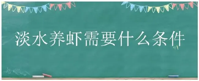 淡水养虾需要什么条件 | 三农问答