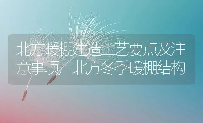 北方暖棚建造工艺要点及注意事项,北方冬季暖棚结构 | 养殖常见问题