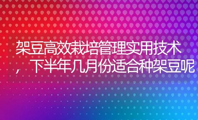 架豆高效栽培管理实用技术,下半年几月份适合种架豆呢 | 养殖常见问题