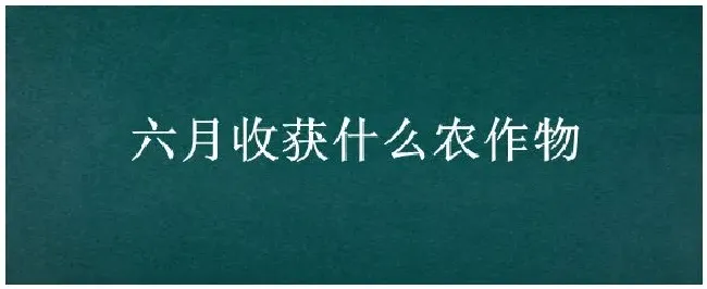 六月收获什么农作物 | 三农问答