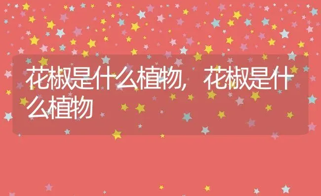 花椒是什么植物,花椒是什么植物 | 养殖常见问题