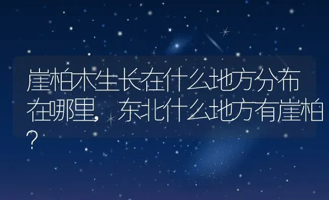 崖柏木生长在什么地方分布在哪里,东北什么地方有崖柏？ | 养殖常见问题