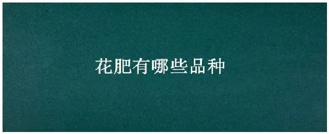 花肥有哪些品种 | 农业问题