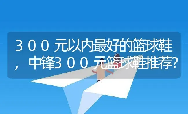 300元以内最好的篮球鞋,中锋300元篮球鞋推荐？ | 养殖常见问题