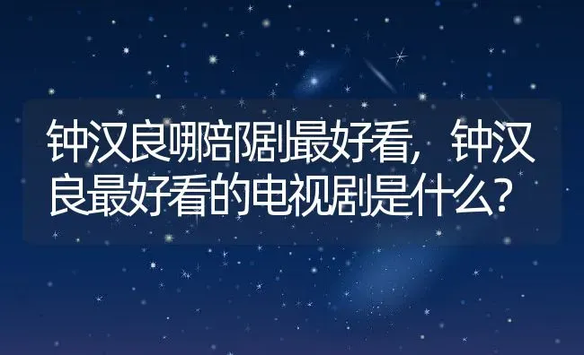 钟汉良哪部剧最好看,钟汉良最好看的电视剧是什么？ | 养殖常见问题