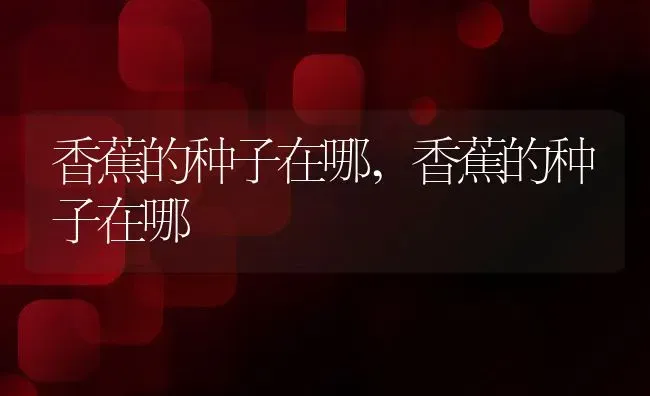 茯苓和土茯苓一样吗不是一种东西,茯苓颜色白好还是微黄的好？ | 养殖常见问题