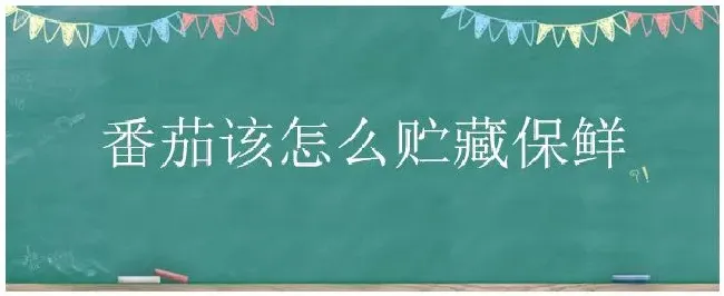 番茄该怎么贮藏保鲜 | 农业常识