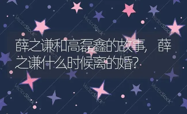 薛之谦和高磊鑫的故事,薛之谦什么时候离的婚？ | 养殖常见问题