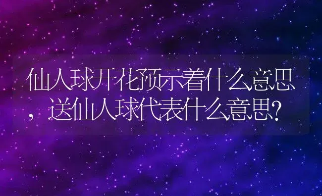 仙人球开花预示着什么意思,送仙人球代表什么意思？ | 养殖常见问题