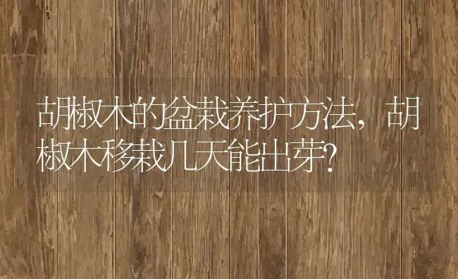 胡椒木的盆栽养护方法,胡椒木移栽几天能出芽？ | 养殖常见问题