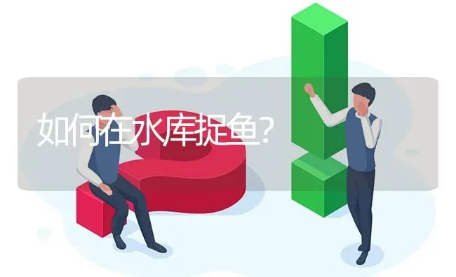 如何在水库捉鱼? | 养殖问题解答