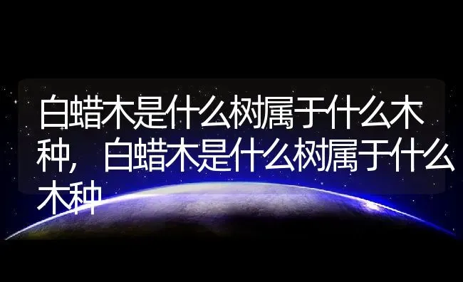 白蜡木是什么树属于什么木种,白蜡木是什么树属于什么木种 | 养殖常见问题