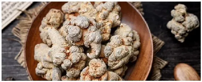 三七种植几年才能用 | 三农问答