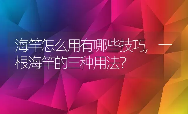 海竿怎么用有哪些技巧,一根海竿的三种用法？ | 养殖常见问题