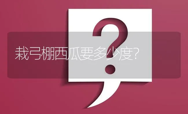 栽弓棚西瓜要多少度? | 养殖问题解答