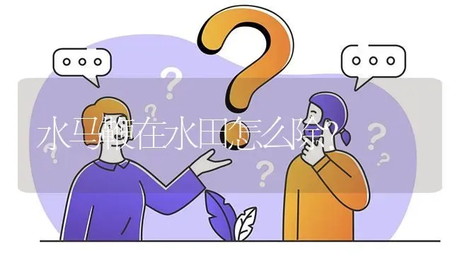 水马鞭在水田怎么除? | 养殖问题解答