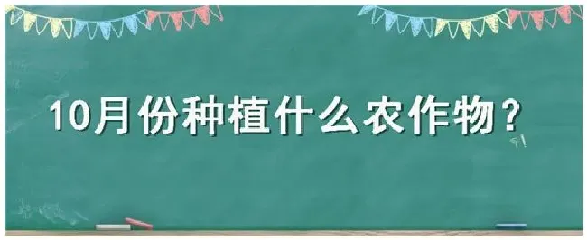 10月份种植什么农作物 | 农业答疑