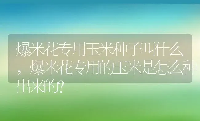 爆米花专用玉米种子叫什么,爆米花专用的玉米是怎么种出来的？ | 养殖常见问题