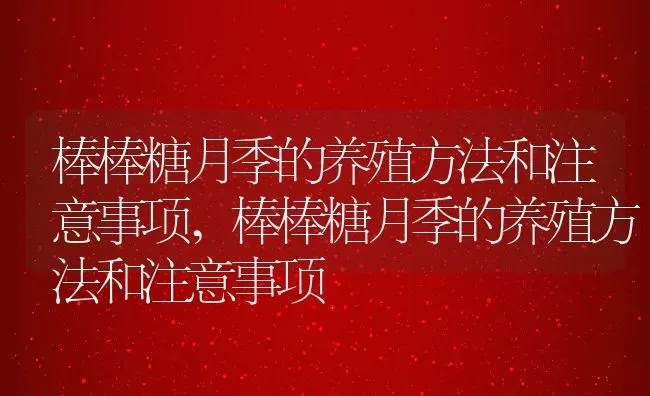 江苏镇江是几线城市,江苏句容市属于几线城市？ | 养殖常见问题