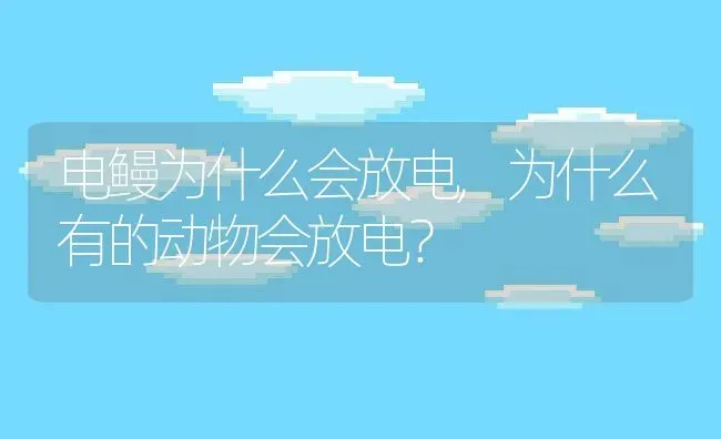 电鳗为什么会放电,为什么有的动物会放电？ | 养殖常见问题