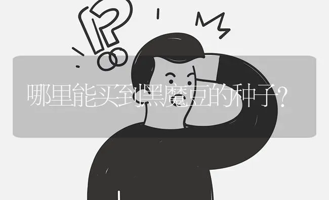 哪里能买到黑魔豆的种子? | 养殖问题解答