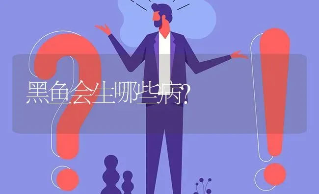 黑鱼会生哪些病? | 养殖问题解答